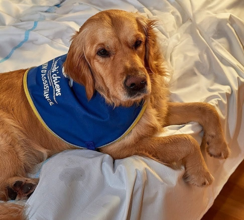 image d'illustration de : Lire en compagnie de Saïko