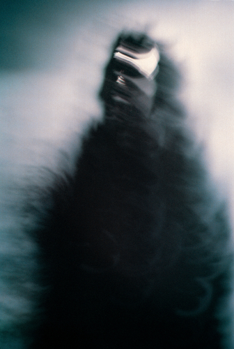 image d'illustration de : Quelque chose de perdu