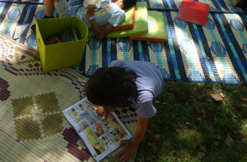 image d'illustration de : Salon de lecture au vert