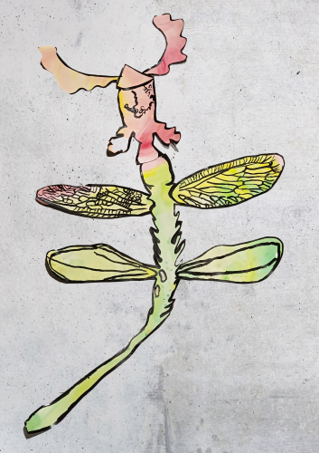 image d'illustration de : HORTUS POETICUS