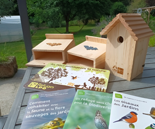 image d'illustration de Un nouveau refuge pour la nature : Création de nichoirs, mangeoires et abreuvoirs pour les oiseaux